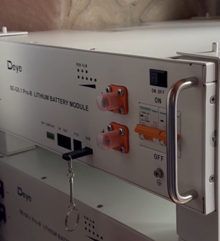 Порти зв'язку BMS CAN і RS485